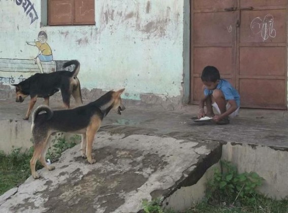 Embezzlement of funds goes on in remote area schools, schools under lock Embezzlement of funds goes on in remote area schools, schools under lock